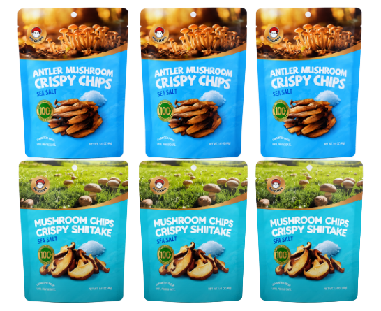 Sea Salt collection -6 pack