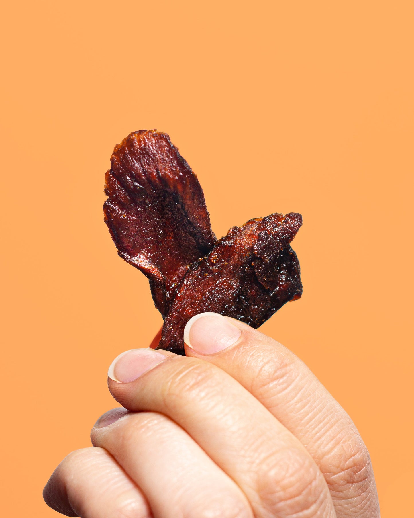 Sweet & Spicy Mushroom Jerky