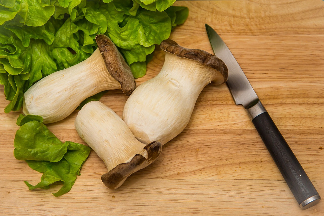9 Types of Mushrooms That Make Great Meat Replacements